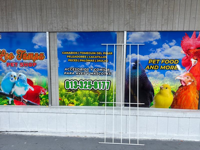 Pet store storefront with full-color parrot and bird window graphics